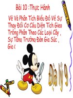 Bài giảng địa lý 9 giao thông vận tải và bưu chính viễn thông (35) 