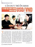 Cần duy trì ổn định và tiếp tục điều chỉnh tăng tỷ giá USD VND 