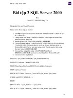 Bài tập 2 SQL server 2000 