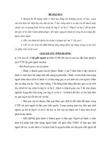 bài tập cá nhân 1 hsự 2 