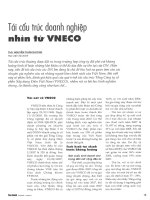 Tái cấu trúc doanh nghiệp nhìn từ VNECO 