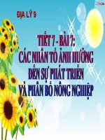 Bài giảng địa lý lớp 9 các nhân tố ảnh hưởng đến sự phát triển và phân bố nông nghiệp (10) 