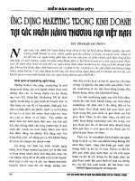 Ứng dụng marketing trong kinh doanh tại các ngân hàng thương mại việt nam 