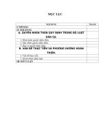 Bài tập lớn học kỳ. Dân sự 1 quyền nhân thân