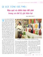 Áp lực tăng giá VND hậu quả và chiến lược đối phó trong cơ chế tỷ giá hiện tại 