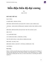 biến điệu  biên độ đại cương 