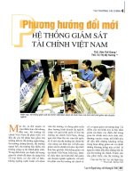 Phương hướng đổi mới hệ thống giám sát tài chính việt nam 