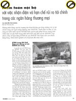 Kiểm toán nội bộ với việc nhận diện và hạn chế rủi ro tài chính trong các ngân hàng thương mại 