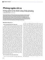Phòng ngừa rủi ro trong quản lý tài chính công ở địa phương 