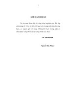 Phát triển mạng lưới các cơ sở bán lẻ hàng hóa hiện đại trên địa bàn tỉnh phú thọ