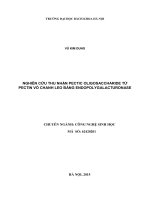 Nghiên cứu thu nhận pectic oligosaccharide từ pectin vỏ chanh leo bằng endopolygalacturonase