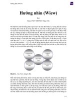 Hướng nhìn (wiew) 