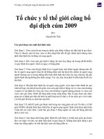 Tổ chức y tế thế giới công bố đại dịch cúm 2009 