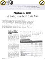 Nghiên cứu môi trường kinh doanh ở việt nam 