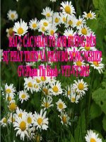 Bài giảng địa lý lớp 9 các nhân tố ảnh hưởng đến sự phát triển và phân bố nông nghiệp (12) 