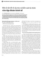 Một số vấn đề về cấu trúc và kiểm soát tài chính của tập đoàn kinh tế 