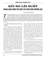 Rủi ro lãi suất trong hoạt động tín dụng của ngân hàng thương mại 