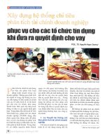 Xây dựng hệ thống chỉ tiêu phân tích tài chính doanh nghiệp phục vụ cho các tổ chức tín dụng khi đưa ra quyết định cho vay 