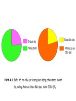 Bài giảng địa 9 lao động và việc làm với chất lượng cuộc sống (2) 