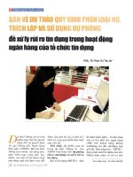 Bàn về dự thảo quy định phân loại nợ, trích lập và sử dụng dự phòng để xử lý rủi ro tín dụng trong hoạt động ngân hàng của tổ chức tín dụng 