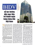 BIDV nỗ lực hướng đến mục tiêu trở thành ngân hàng hàng đầu việt nam 