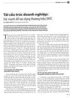 Tái cấu trúc doanh nghiệp sức mạnh để tạo dựng thương hiệu DATC 