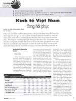 Nhóm tư vấn chính sách (PAG)  kinh tế việt nam đang hồi phục 