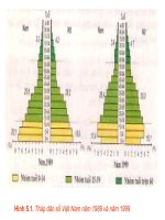 Bài giảng địa lý 9 thực hành phân tích so sánh tháp dân số năm 1989 và năm 1999 (4) 