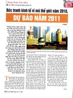 Bức tranh kinh tế vĩ mô thế giới năm 2010, dự báo năm 2011 