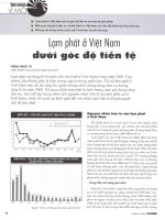 Lạm phát ở việt nam dưới góc độ tiền tệ 