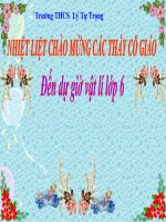 Bài giảng vật lý 6 phép đo lực, trọng lượng và khối lượng (29) 