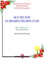 Bài giảng vật lý lớp 6 thực hành xác định khối lượng riêng của sỏi (3) 