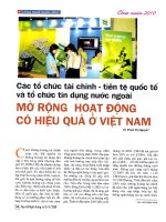 Các tổ chức tài chính   tiền tệ quốc tế và tổ chức tín dụng nước ngoài mở rộng hoạt động có hiệu quả ở việt nam 