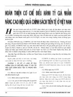 Hoàn thiện cơ chế điều hành tỷ giá nhằm nâng cao hiệu quả chính sách tiền tệ ở việt nam 