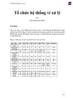 Tổ chức hệ thống vi xử lý 