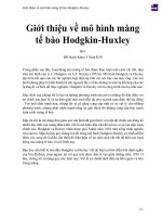 Giới thiệu về mô hình màng tế bào hodgkin huxley 