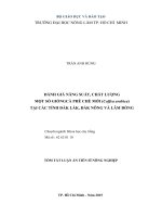 Đánh giá năng suất, chất lượng một số giống cà phê chè mới ( coffea arabica) tại các tỉnh Đắk Lắk, Đắk Nông và Lâm Đồng