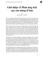 Giới thiệu về phản ứng tích cực của màng tế bào 