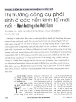 Thị trường công cụ phái sinh ở các nền kinh tế mới nổi   định hướng cho việt nam 