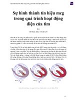 Sự hình thành tín hiệu mcg trong quá trình hoạt động điện của tim 