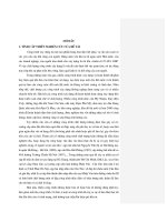 Nghiên cứu giải pháp quản lý nhằm nâng cao chất l-ợng thi công xây dựng công trình
