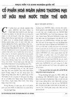 Cổ phần hóa ngân hàng thương mại sở hữu nhà nước trên thế giới 