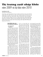 Thị trường xuất nhập khẩu năm 2009 và dự báo năm 2010 