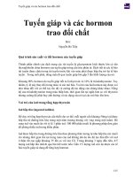 Tuyến giáp và các hormon trao đổi chất 