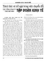 Thách thức và trở ngại trong việc chuyển đổi các tổng công ty theo mô hình tập đoàn kinh tễ 