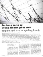 Sử dụng công cụ chứng khoán phái sinh trong quản trị rủi ro tại các ngân hàng australia 