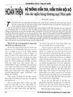 Hoàn thiện hệ thống kiểm tra, kiểm toán nội bộ của các ngân hàng thương mại nhà nước 