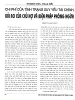 Chi phí của tình trạng suy yếu tài chính, rủi ro của chủ nợ và biện pháp phòng ngừa 