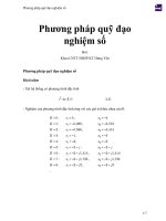 Phương pháp quỹ đạo nghiệm số 