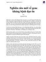 Nghiên cứu mới về gene kháng bệnh đạo ôn 